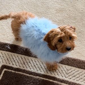 Maxbone x Christian Cowan Fluffy Dog Sweater Size Small